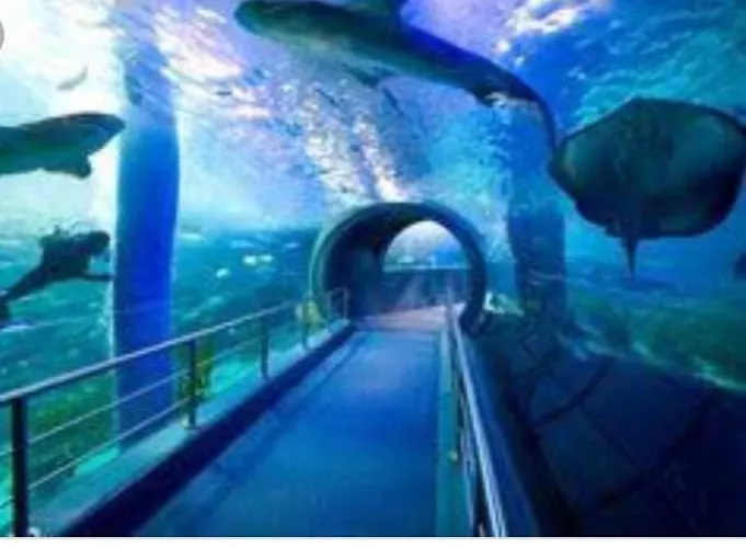 Syria Canteras * 大加那利岛拉斯帕尔马斯