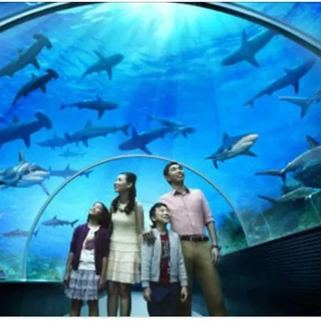 アパート Syria Canteras