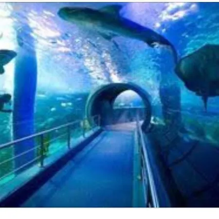 Syria Canteras * ラスパルマス・デ・グランカナリア