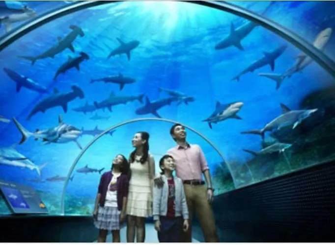 Διαμέρισμα Syria Canteras